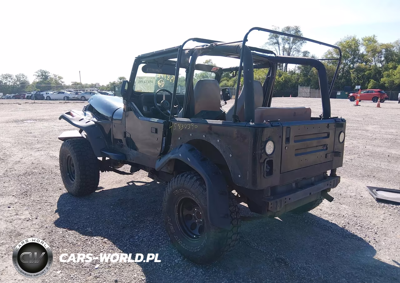 1995 Jeep Wrangler - Yj S-Rio Grande VIN:1J4FY19P4SP200182 - 3