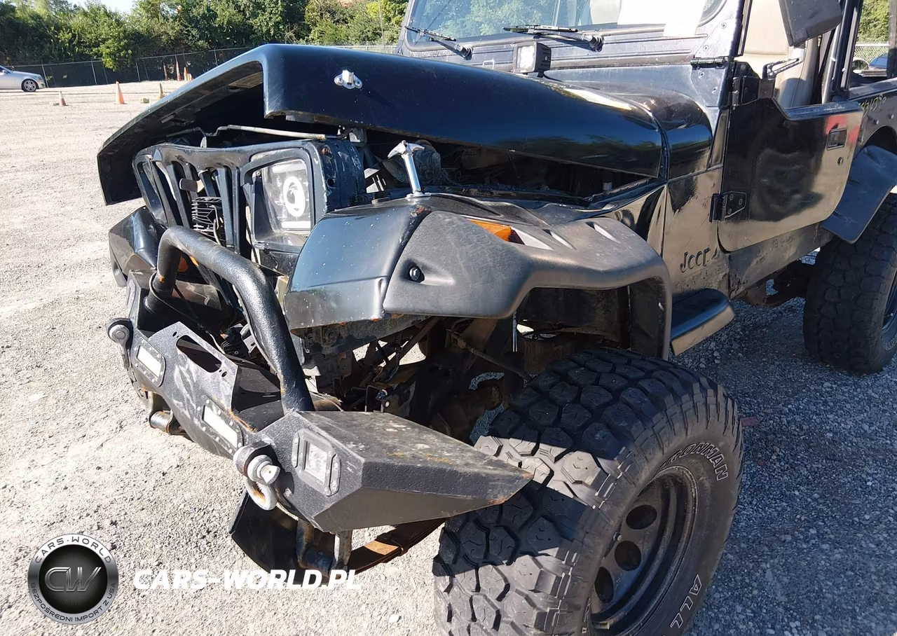 1995 Jeep Wrangler - Yj S-Rio Grande VIN:1J4FY19P4SP200182 - 6