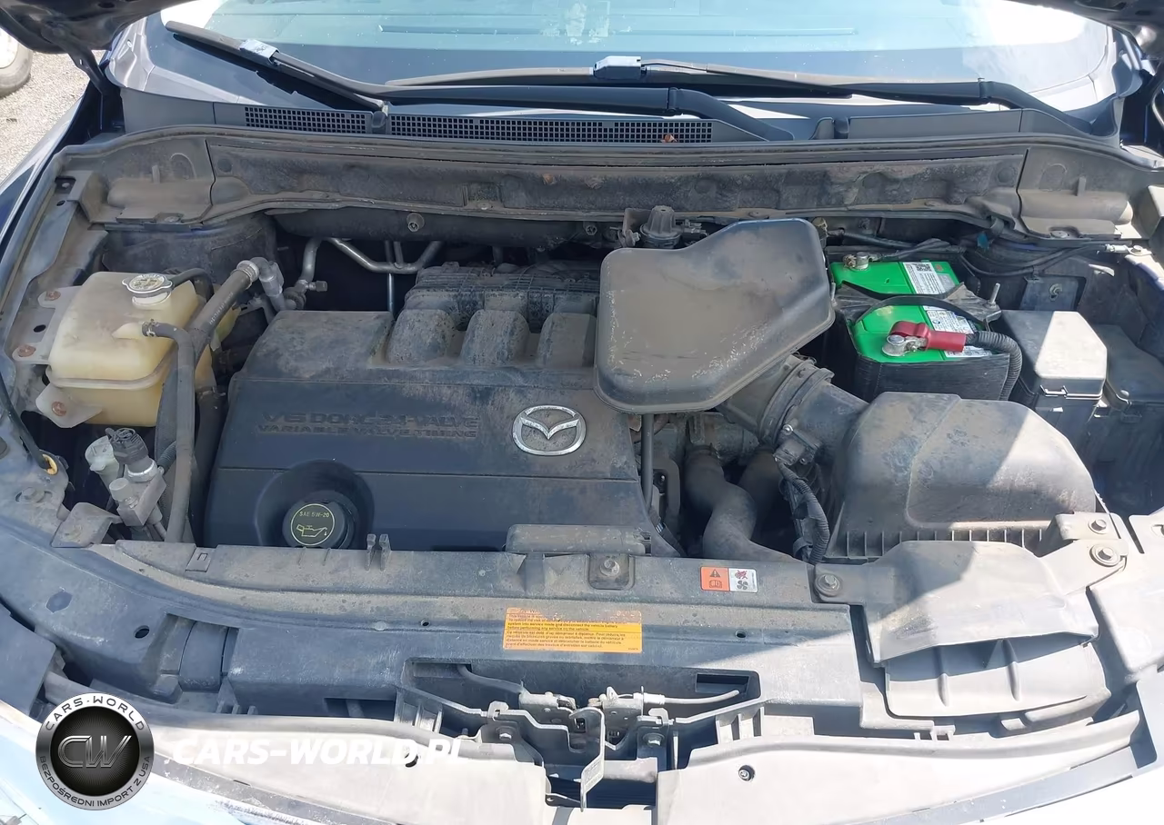 2010 Mazda Cx-9 Grand Touring VIN:JM3TB3MA5A0204961 - 10