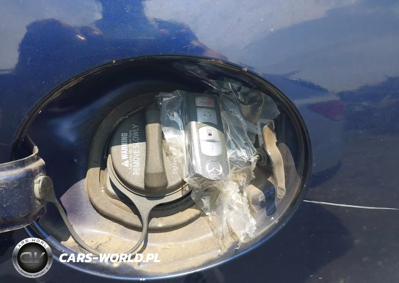 2010 Mazda Cx-9 Grand Touring VIN:JM3TB3MA5A0204961 - 11