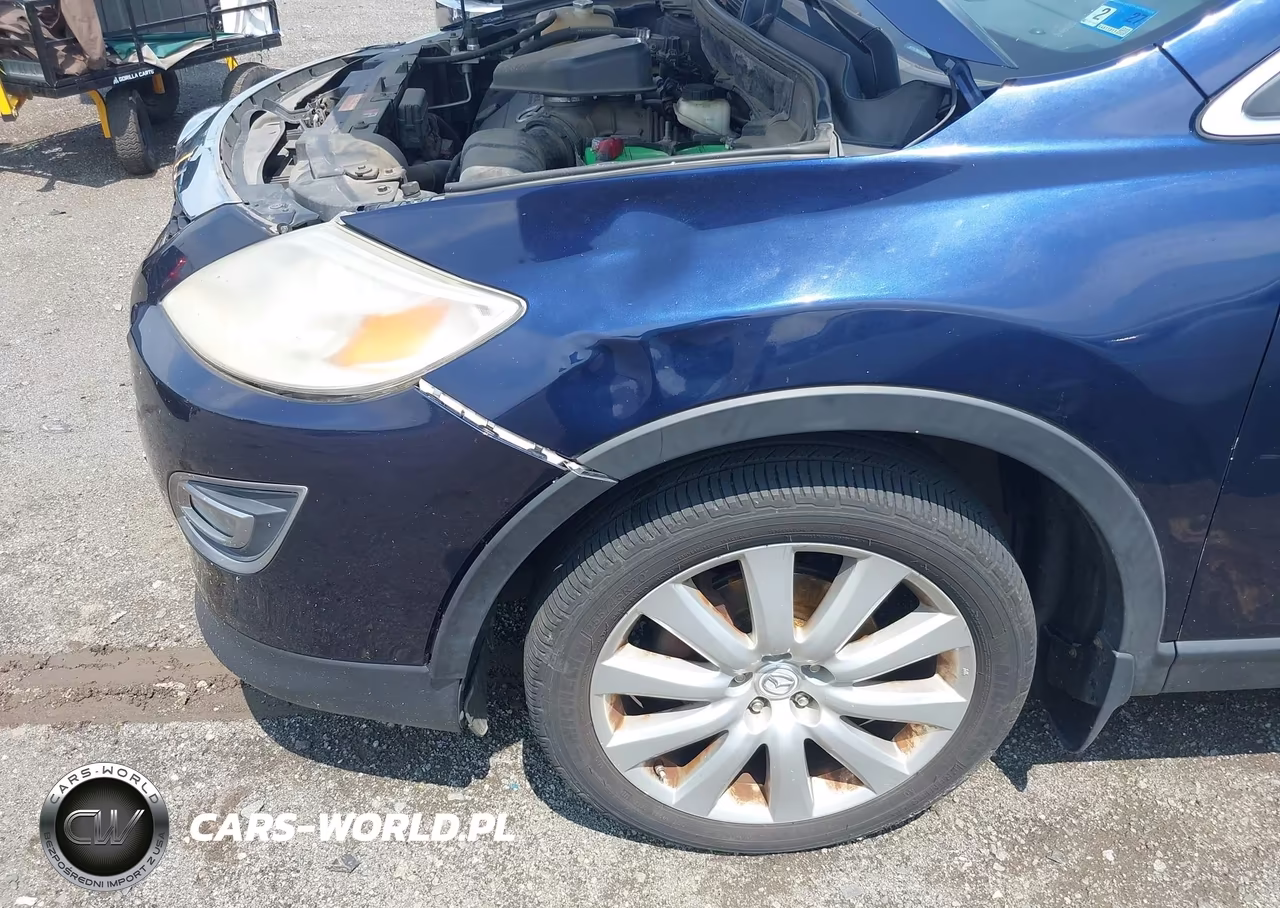 2010 Mazda Cx-9 Grand Touring VIN:JM3TB3MA5A0204961 - 15