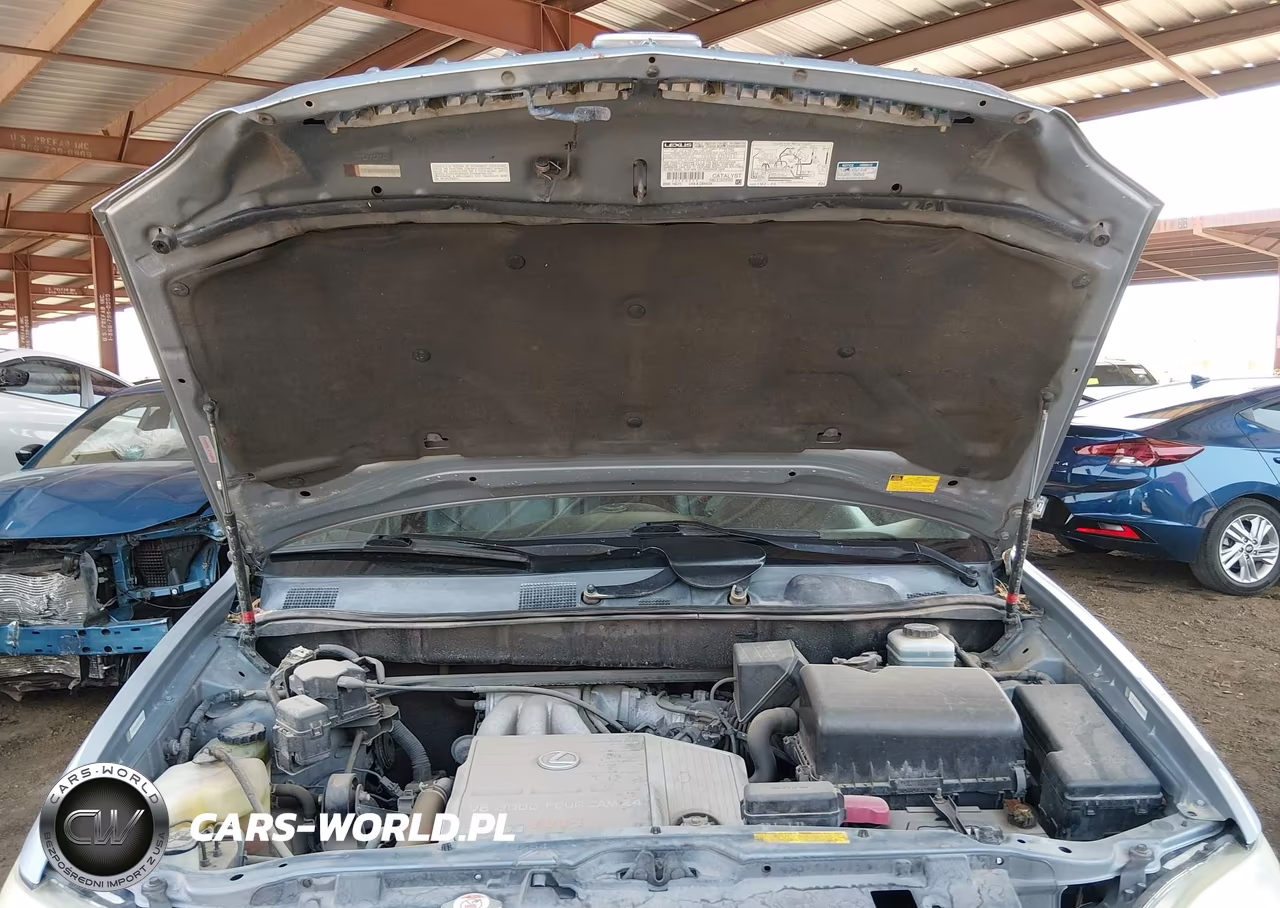 2003 Lexus Rx 300 VIN:JTJHF10U030301671 - 10