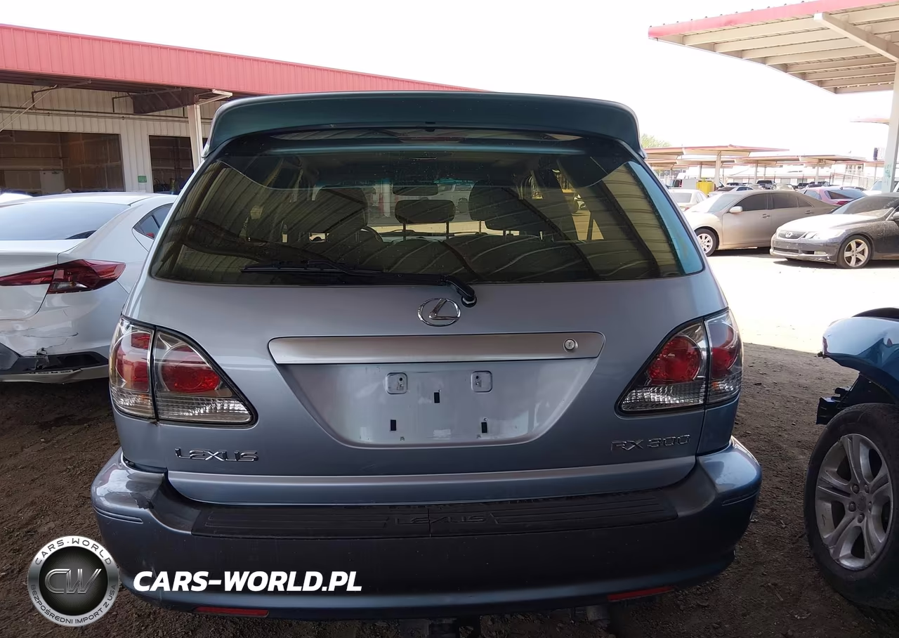 2003 Lexus Rx 300 VIN:JTJHF10U030301671 - 16