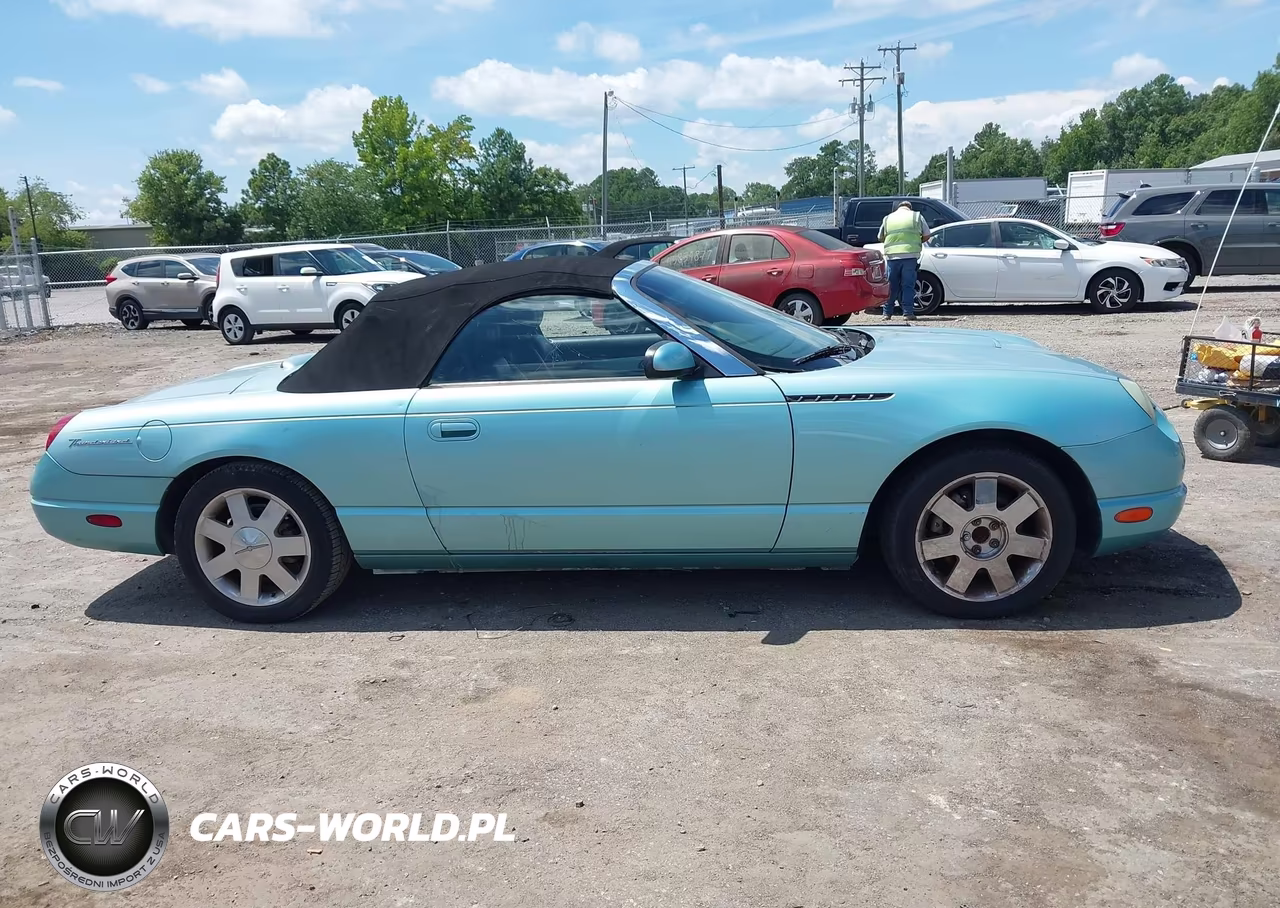 2002 Ford Thunderbird Deluxe-Premium-W-Hardtop Deluxe-W-Hardtop Premium VIN:1FAHP60A42Y117357 - 13
