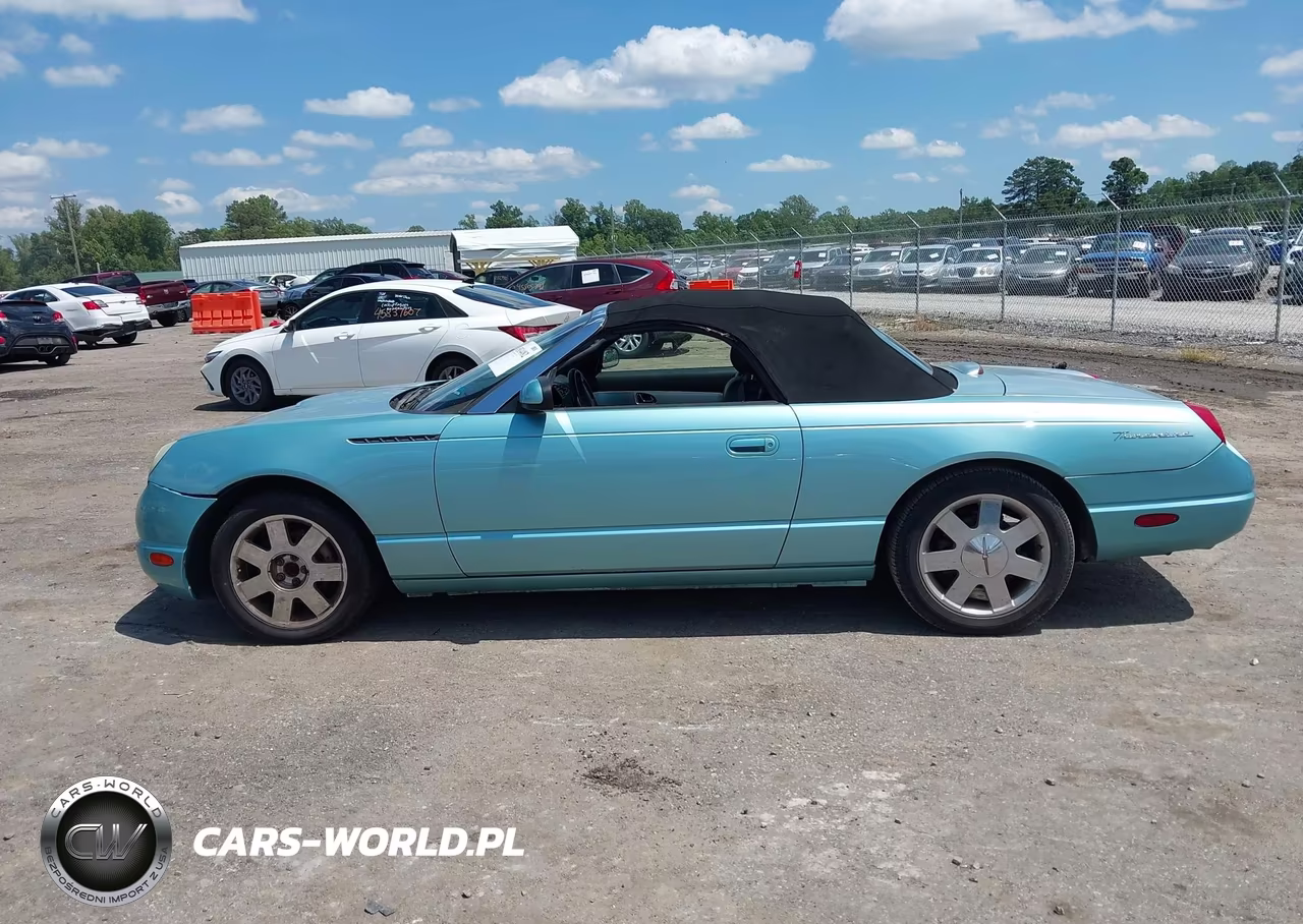 2002 Ford Thunderbird Deluxe-Premium-W-Hardtop Deluxe-W-Hardtop Premium VIN:1FAHP60A42Y117357 - 14