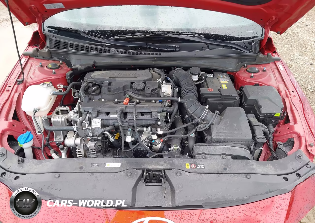 2025 Hyundai Elantra N Line VIN:KMHLR4DF9SU909323 - 10