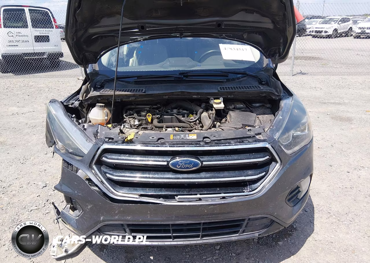 2019 Ford Escape Se VIN:1FMCU0GD0KUA11775 - 10