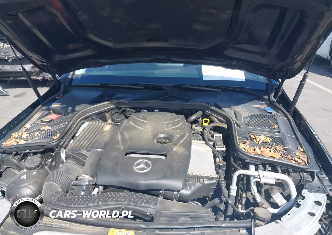 2015 Mercedes-Benz C 300 4Matic VIN:55SWF4KB7FU060333 - 10