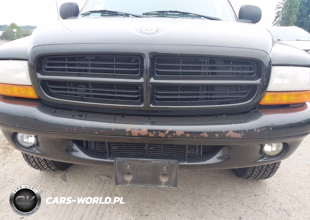 1999 Dodge Durango VIN:1B4HS28Z5XF622304 - 6