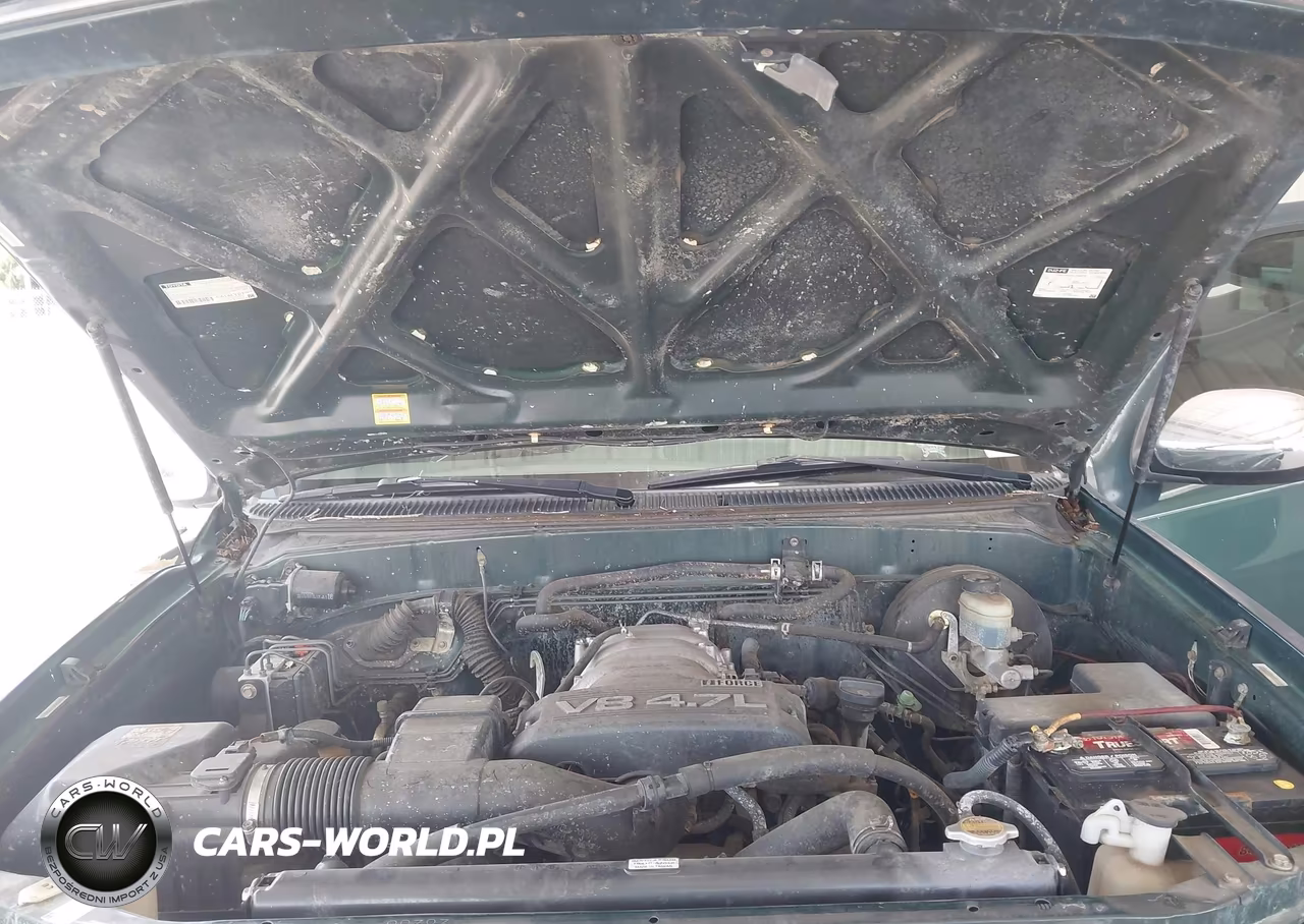 2003 Toyota Tundra Sr5 V8 VIN:5TBBT44113S399795 - 10