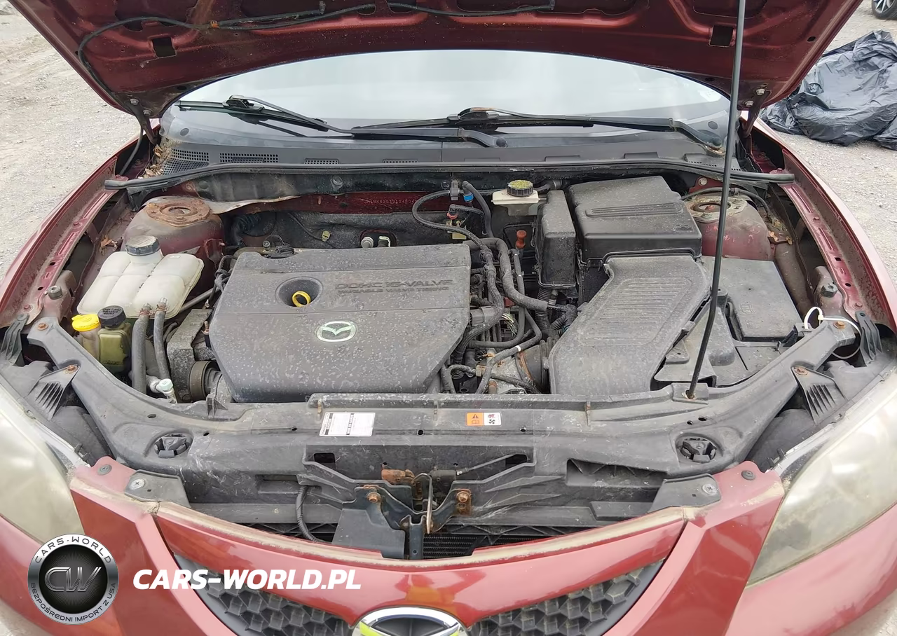 2009 Mazda Mazda3 I VIN:JM1BK32G391245042 - 10