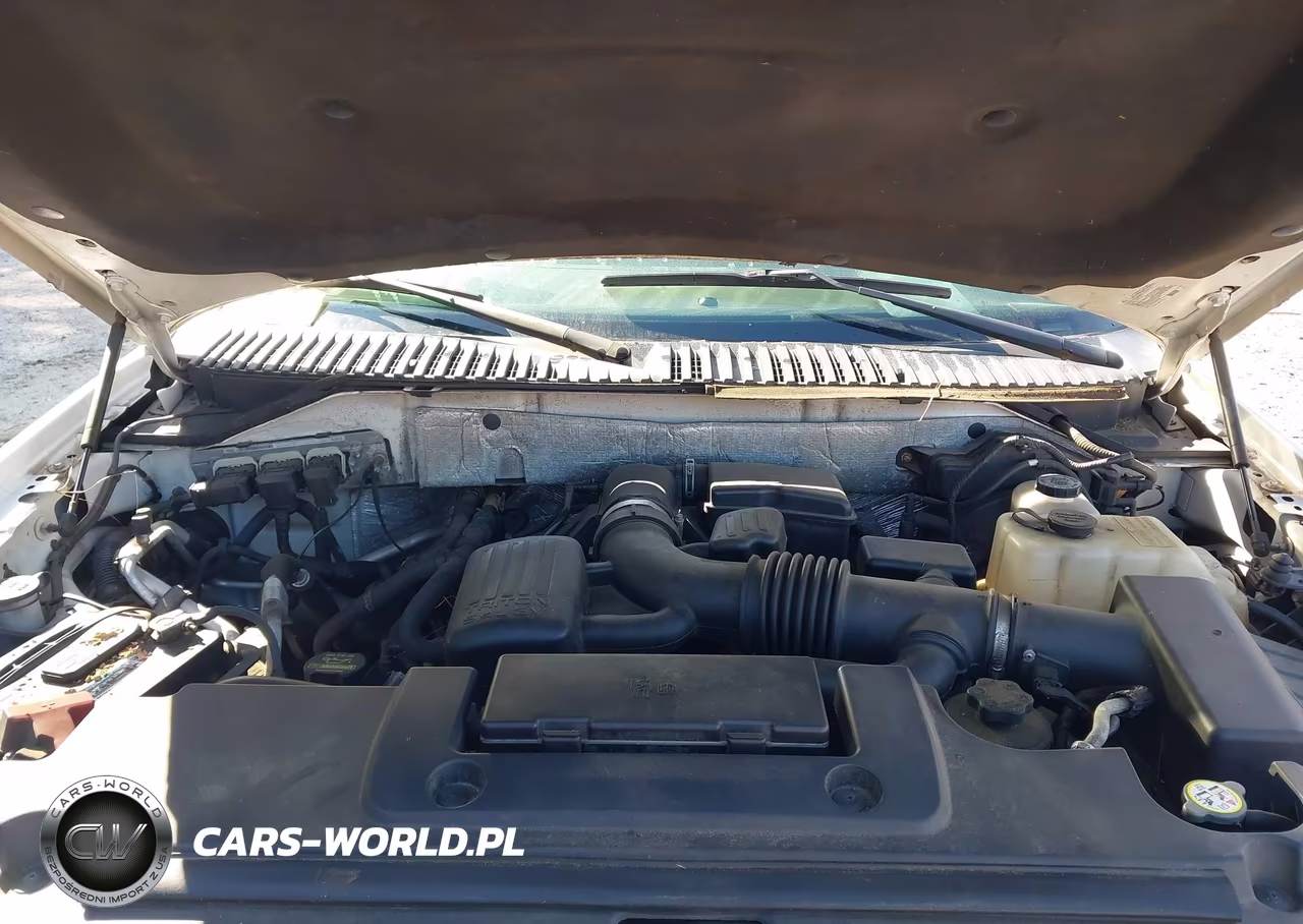 2010 Ford Expedition Limited VIN:1FMJU2A5XAEA33229 - 10