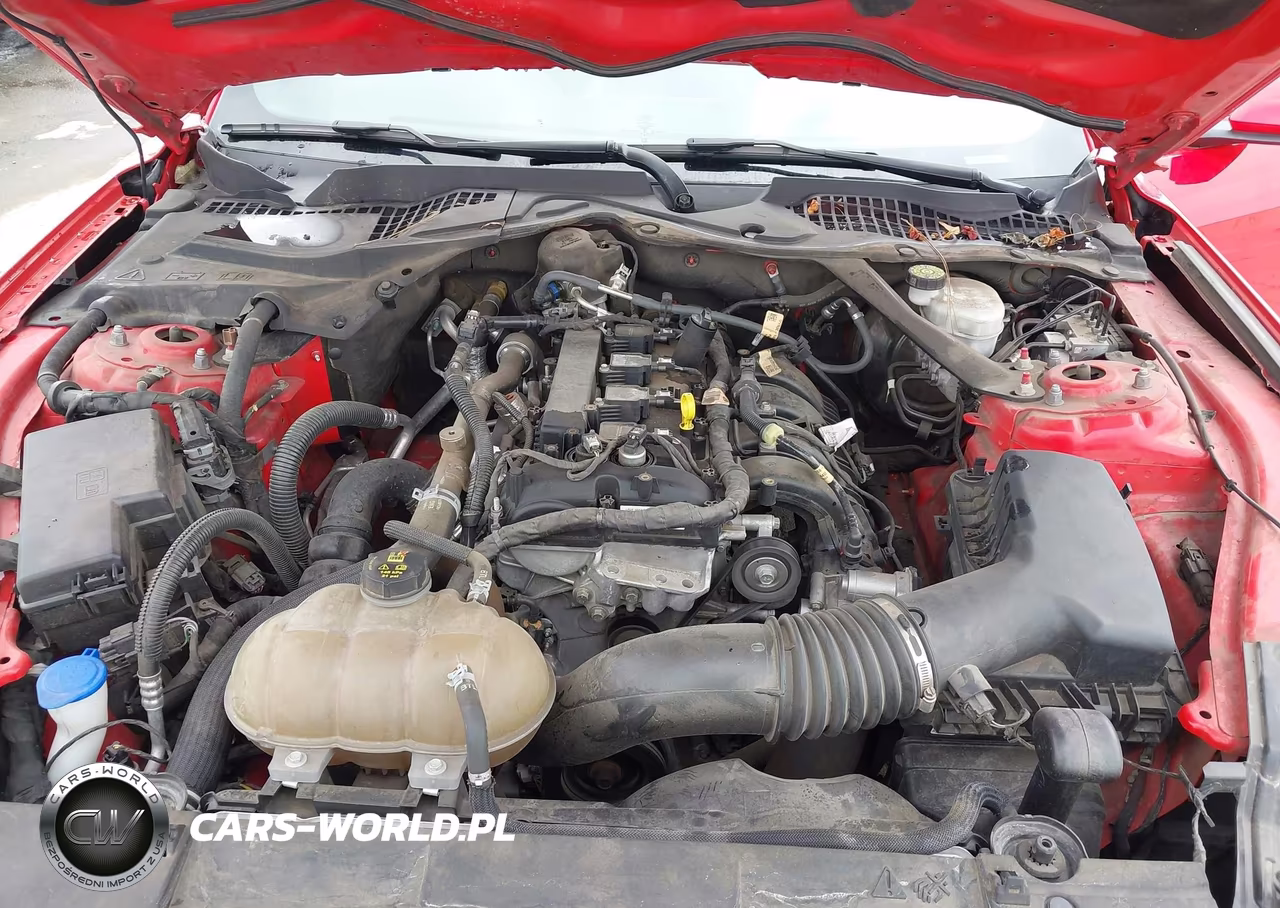 2022 Ford Mustang Ecoboost Premium VIN:1FATP8UH0N5102292 - 10