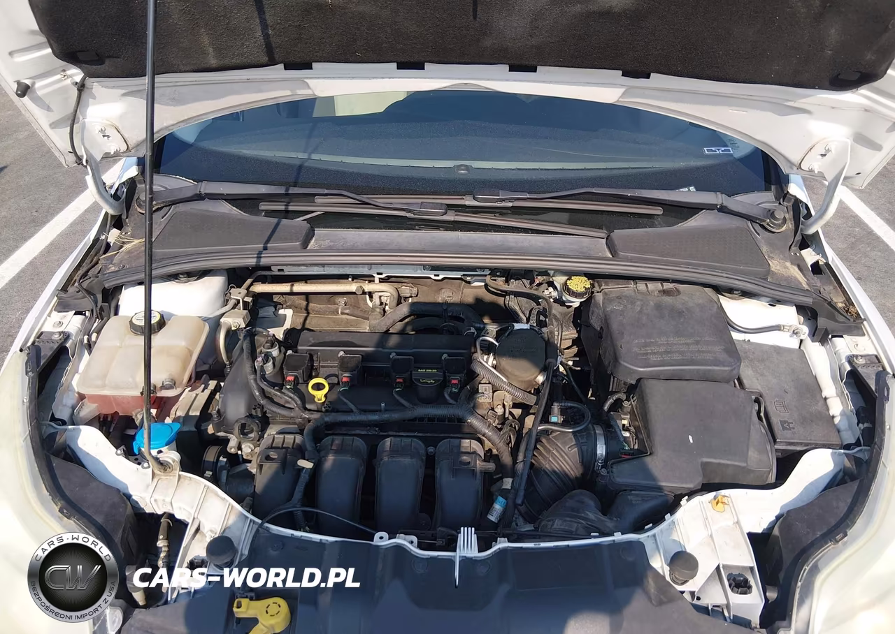 2013 Ford Focus Se VIN:1FADP3K22DL125556 - 10