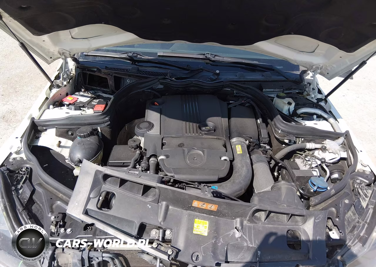 2012 Mercedes-Benz C 250 VIN:WDDGJ4HB2CF856013 - 10