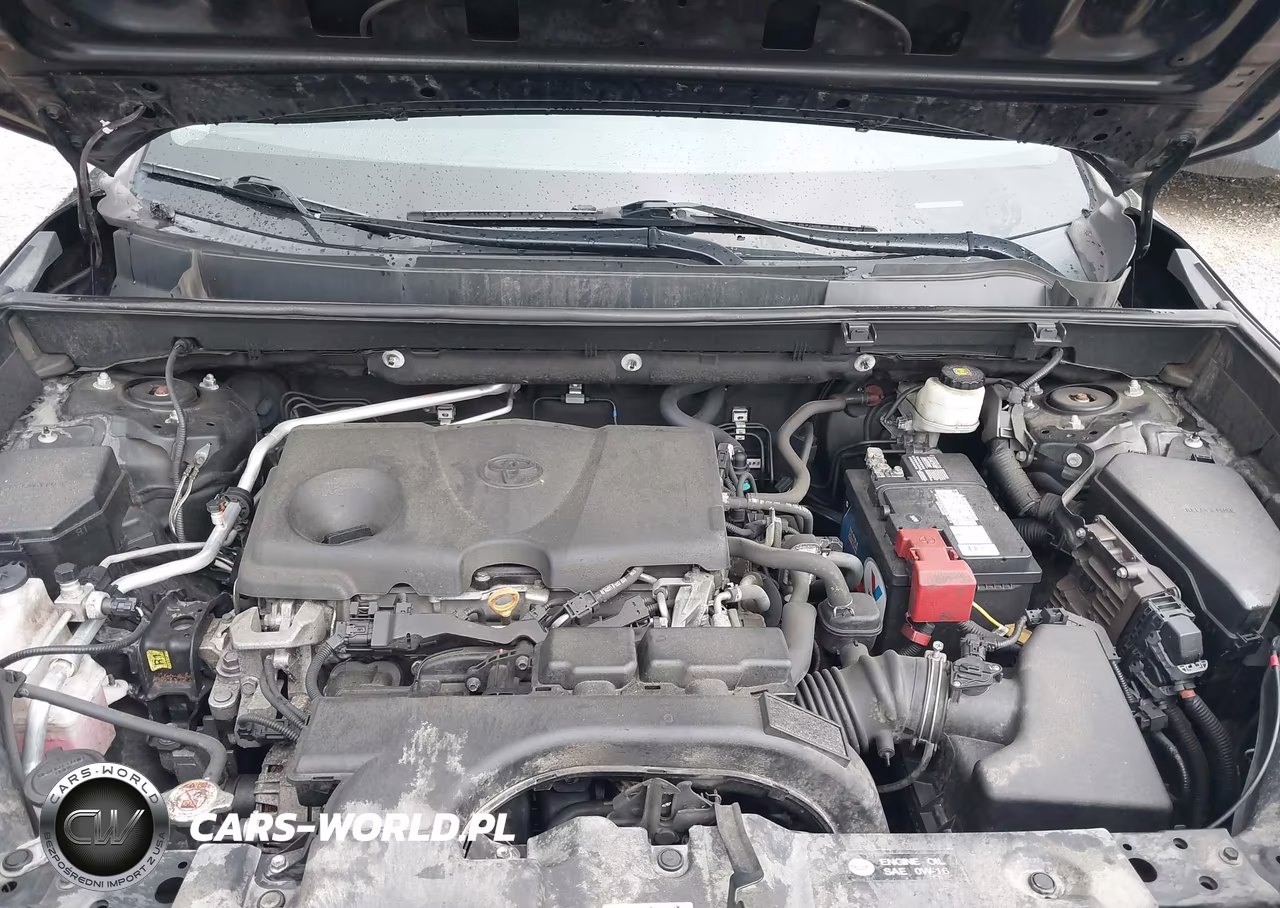 2019 Toyota Rav4 Le VIN:2T3K1RFV6KC019830 - 10