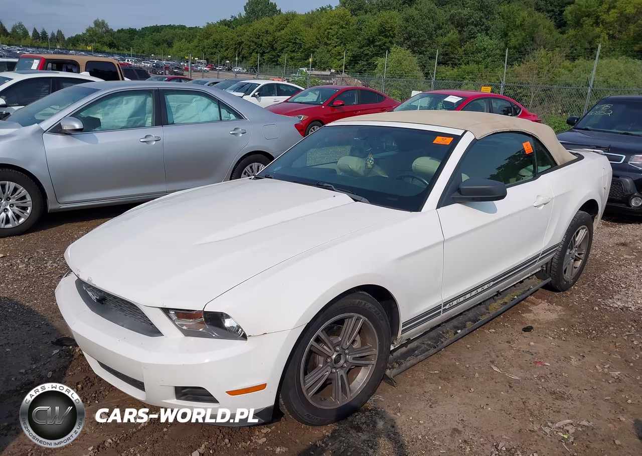 2010 Ford Mustang V6-V6 Premium VIN:1ZVBP8EN1A5178363 - 2