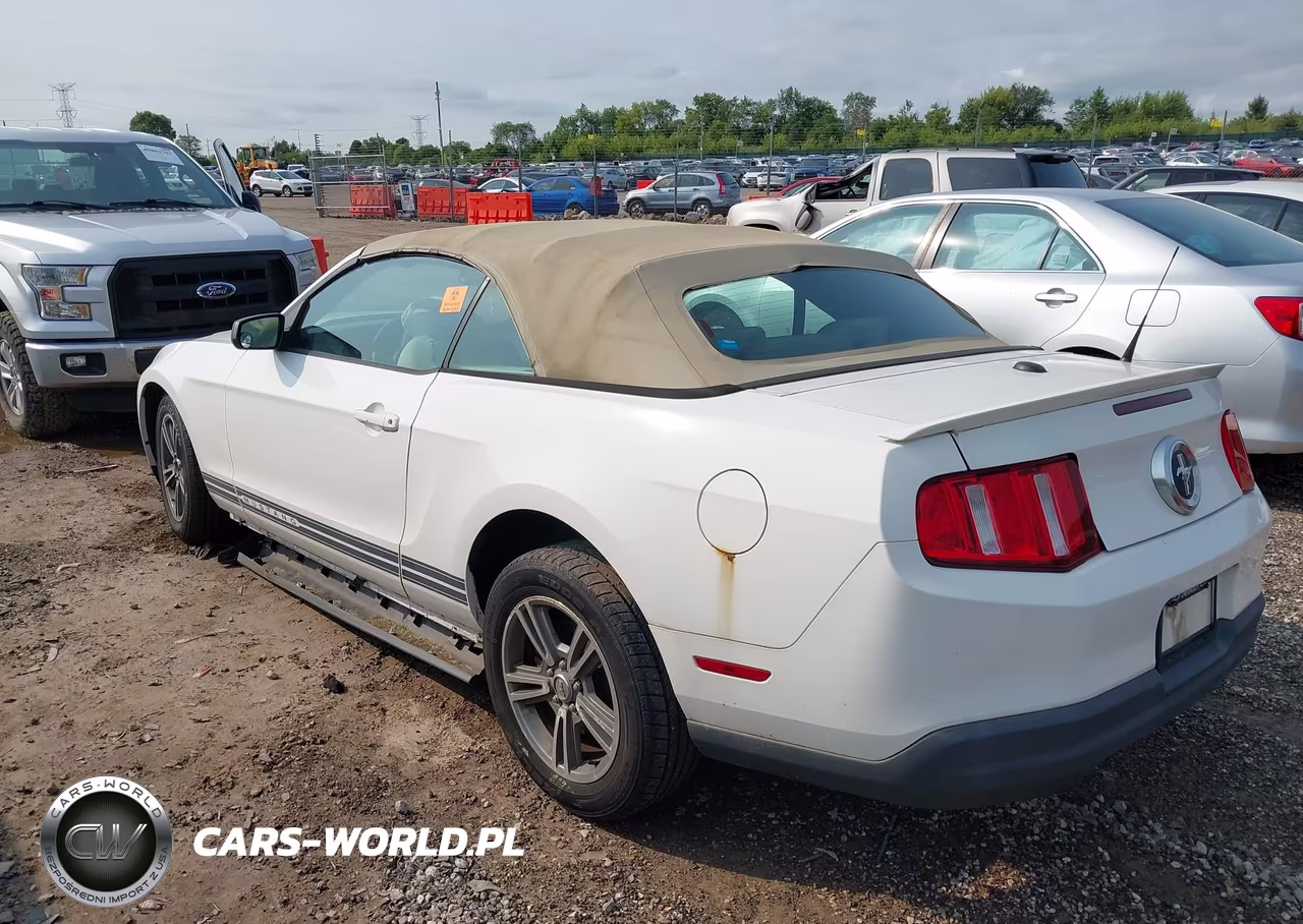 2010 Ford Mustang V6-V6 Premium VIN:1ZVBP8EN1A5178363 - 3