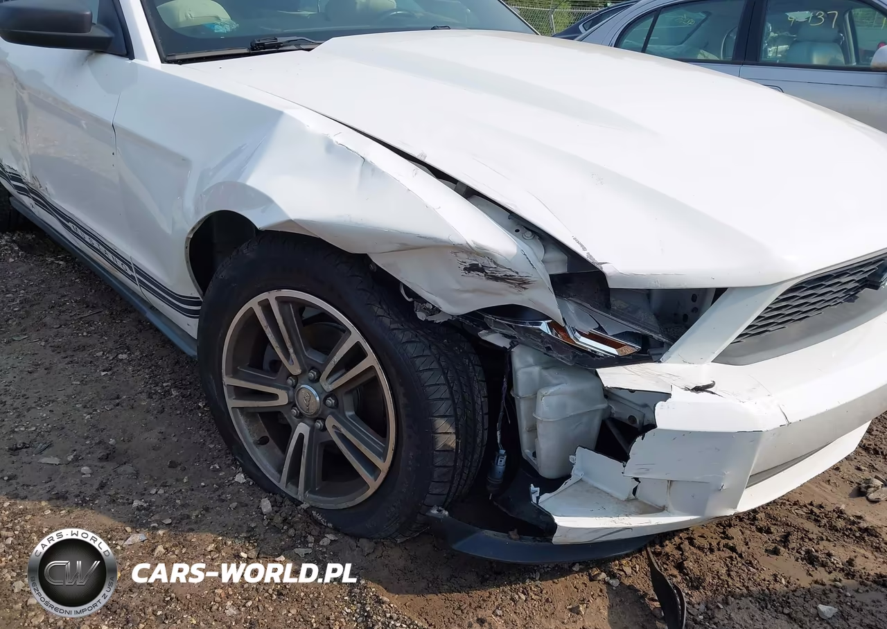 2010 Ford Mustang V6-V6 Premium VIN:1ZVBP8EN1A5178363 - 6