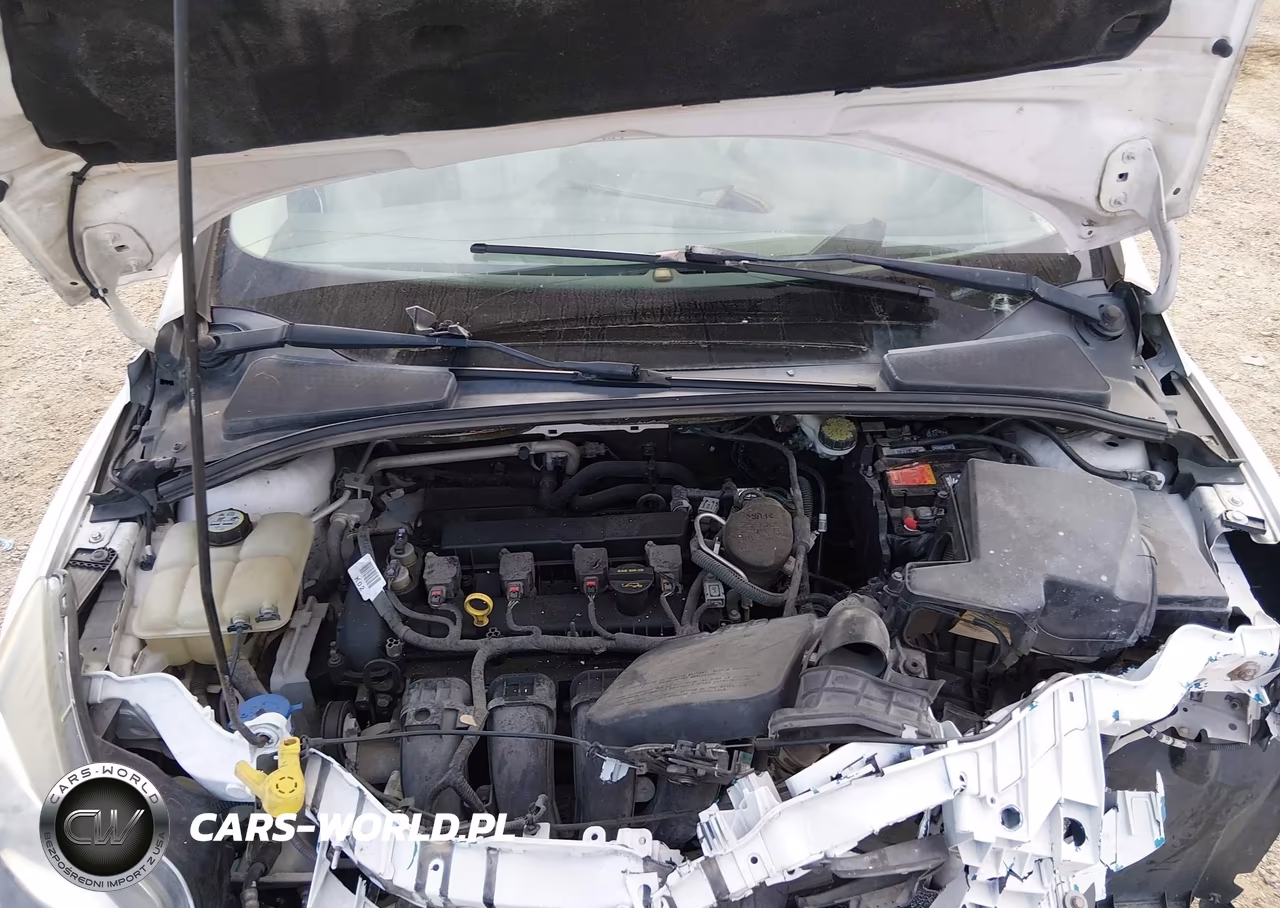 2013 Ford Focus Titanium VIN:1FADP3J28DL163567 - 10