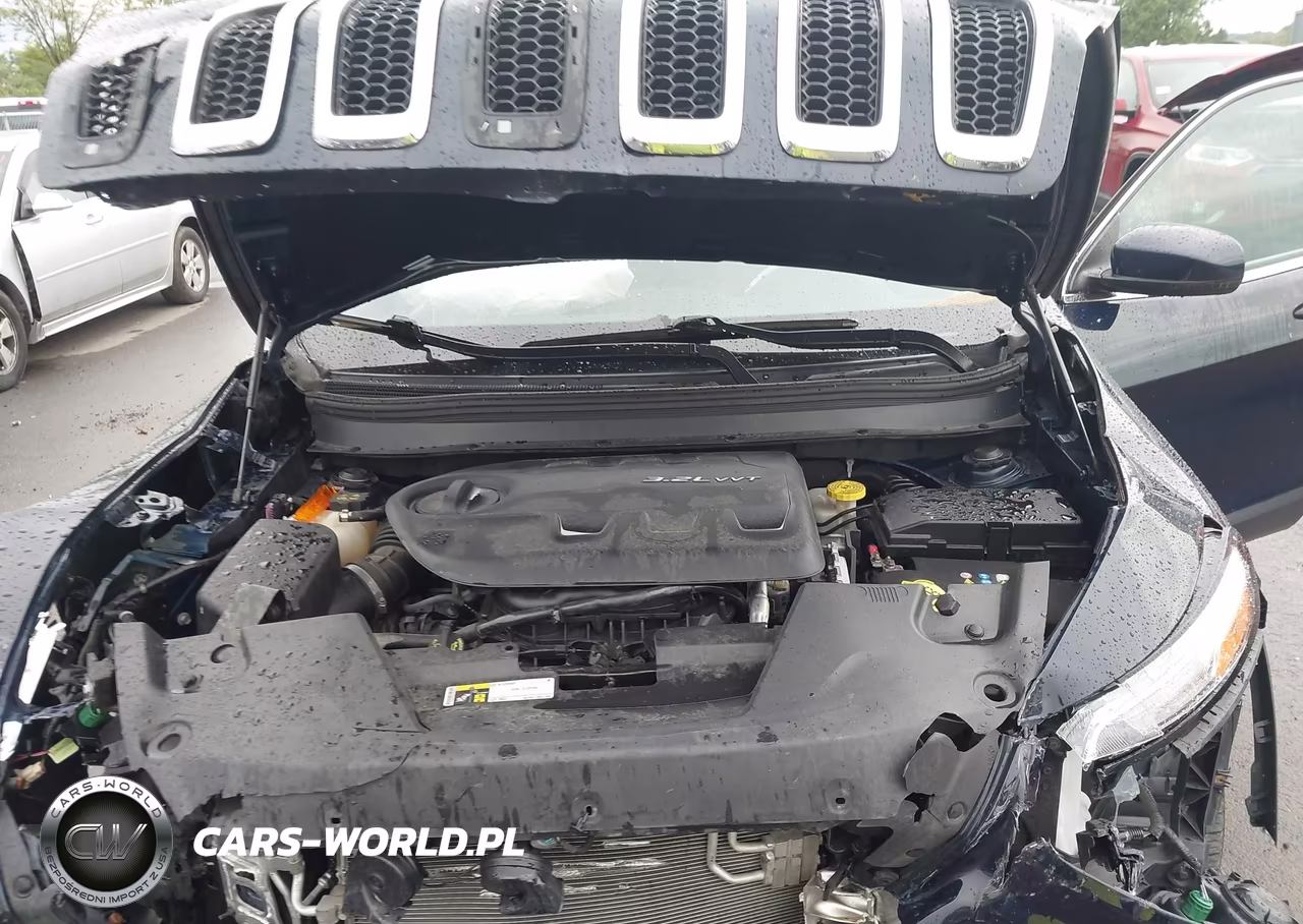 2014 Jeep Cherokee Limited VIN:1C4PJMDS6EW156384 - 10