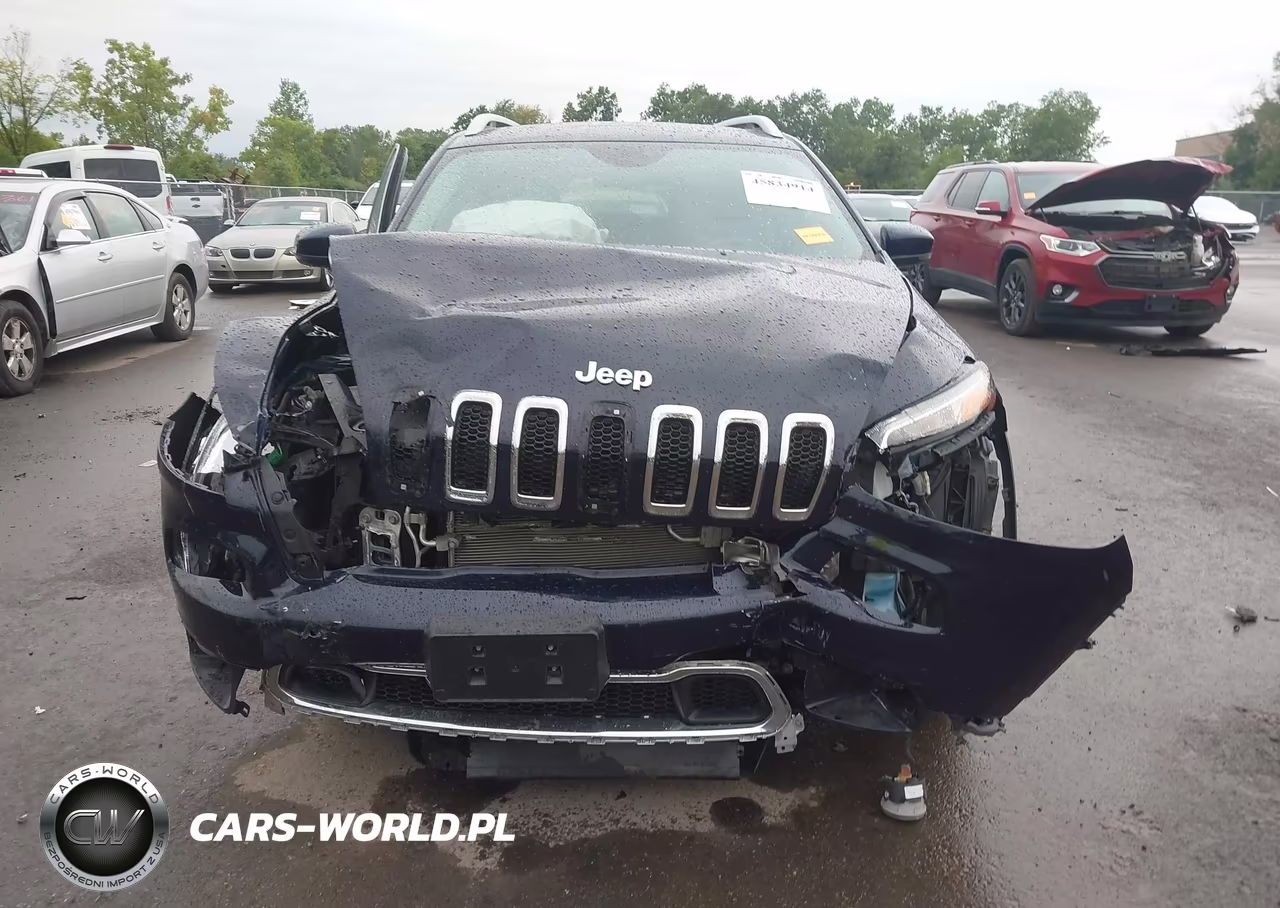 2014 Jeep Cherokee Limited VIN:1C4PJMDS6EW156384 - 12