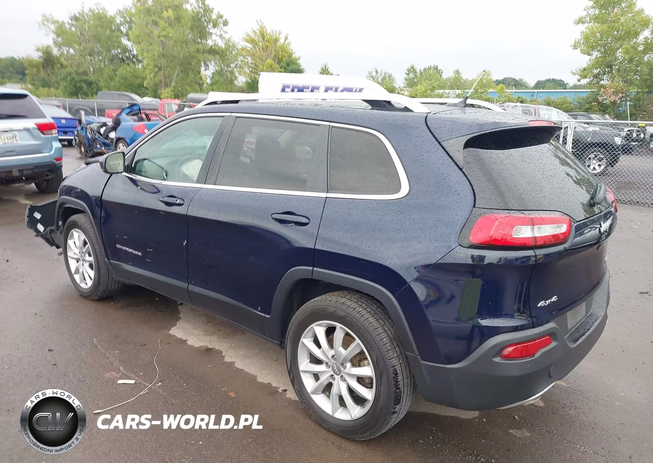 2014 Jeep Cherokee Limited VIN:1C4PJMDS6EW156384 - 3