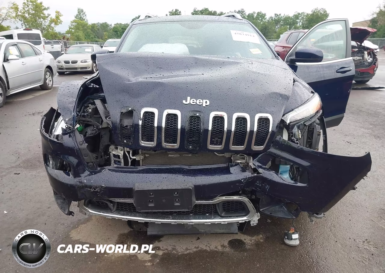 2014 Jeep Cherokee Limited VIN:1C4PJMDS6EW156384 - 6