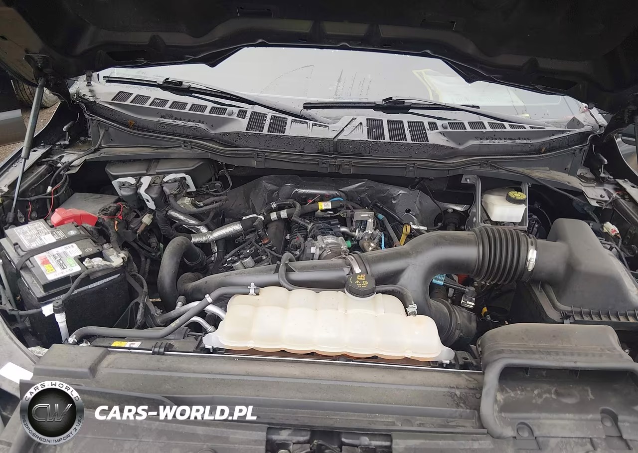 2022 Ford F-150 Xlt VIN:1FTEW1EP0NKE69651 - 10