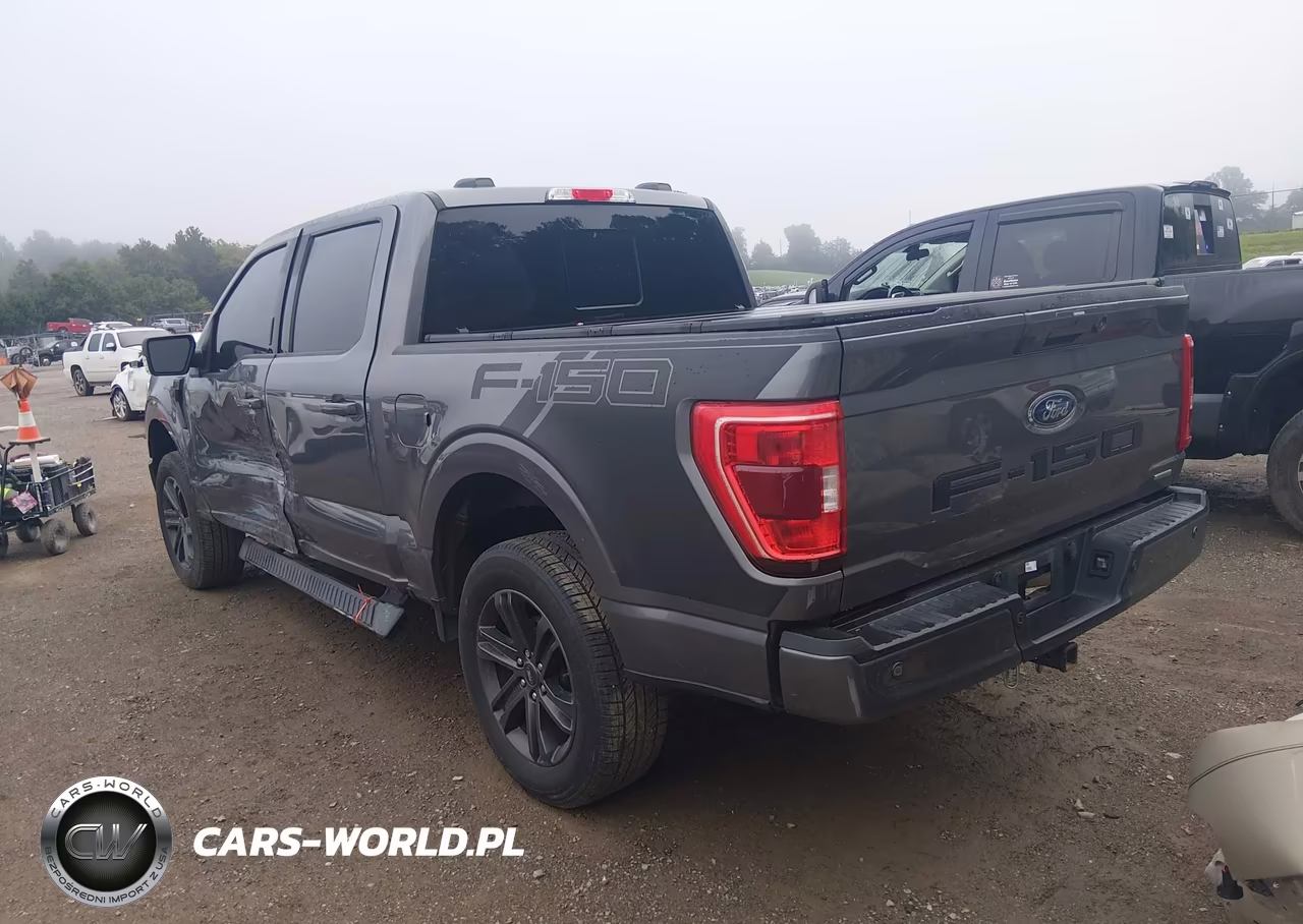 2022 Ford F-150 Xlt VIN:1FTEW1EP0NKE69651 - 3