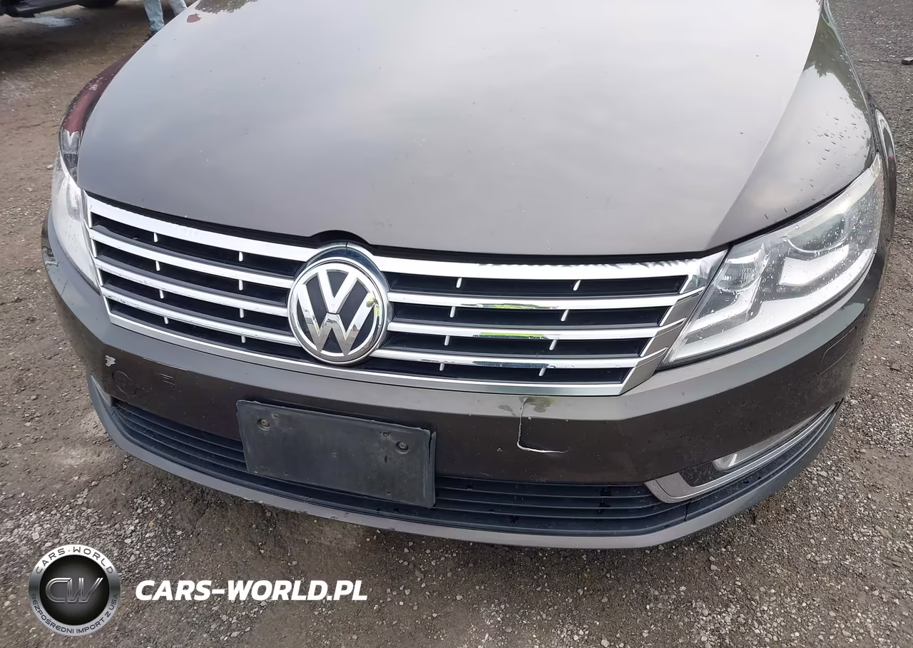 2013 Volkswagen Cc 2.0T Sport VIN:WVWBP7AN6DE557270 - 6