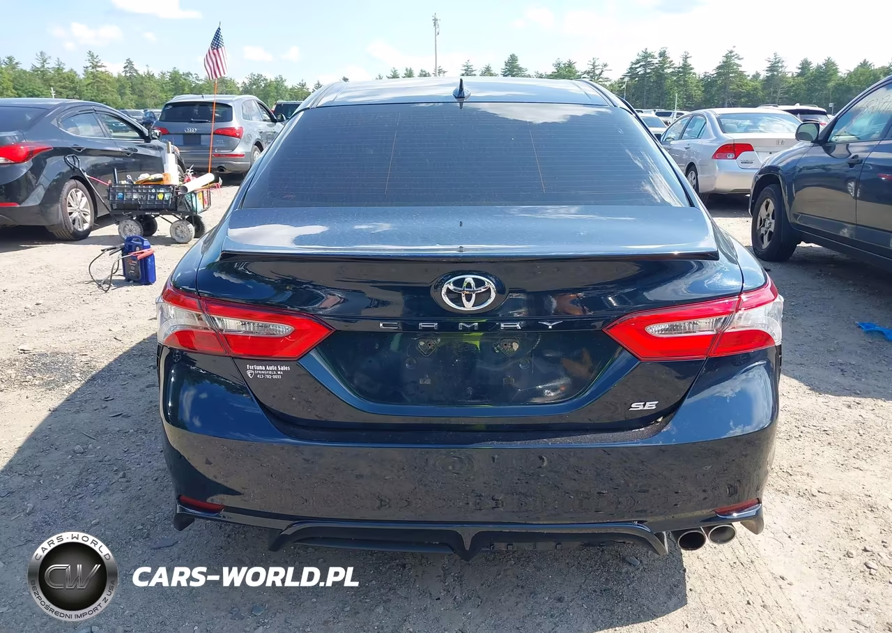 2019 Toyota Camry Se VIN:4T1B11HK8KU690301 - 17