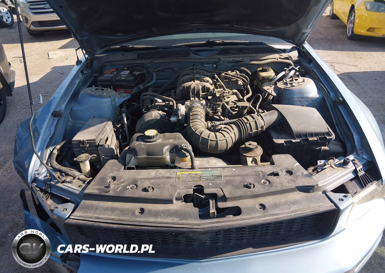 2005 Ford Mustang VIN:1ZVFT84N655188875 - 10