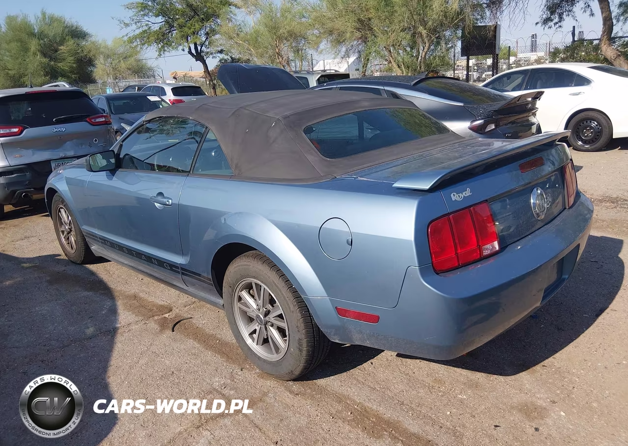 2005 Ford Mustang VIN:1ZVFT84N655188875 - 3
