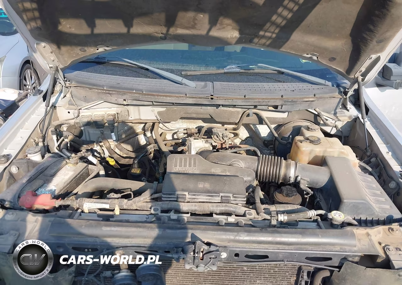 2009 Ford F-150 Stx-Xl-Xl W-Midbox Prep-Xlt-Xlt W-Midbox Prep VIN:1FTRF12W19KB98036 - 10