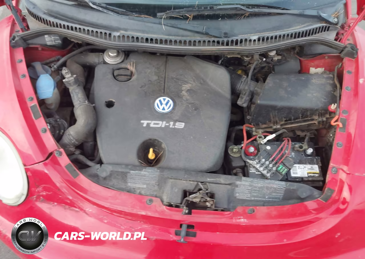 1998 Volkswagen New Beetle Tdi VIN:3VWBF61C6WM010294 - 10