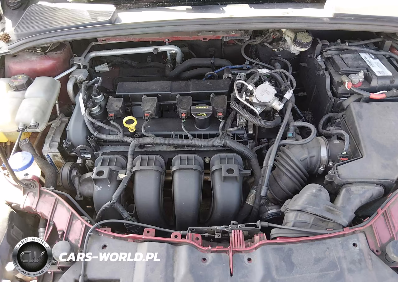 2014 Ford Focus Se VIN:1FADP3K25EL238032 - 10