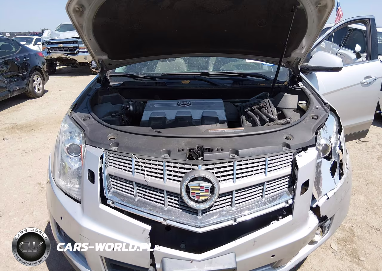 2010 Cadillac Srx Performance Collection VIN:3GYFNEEYXAS565318 - 10