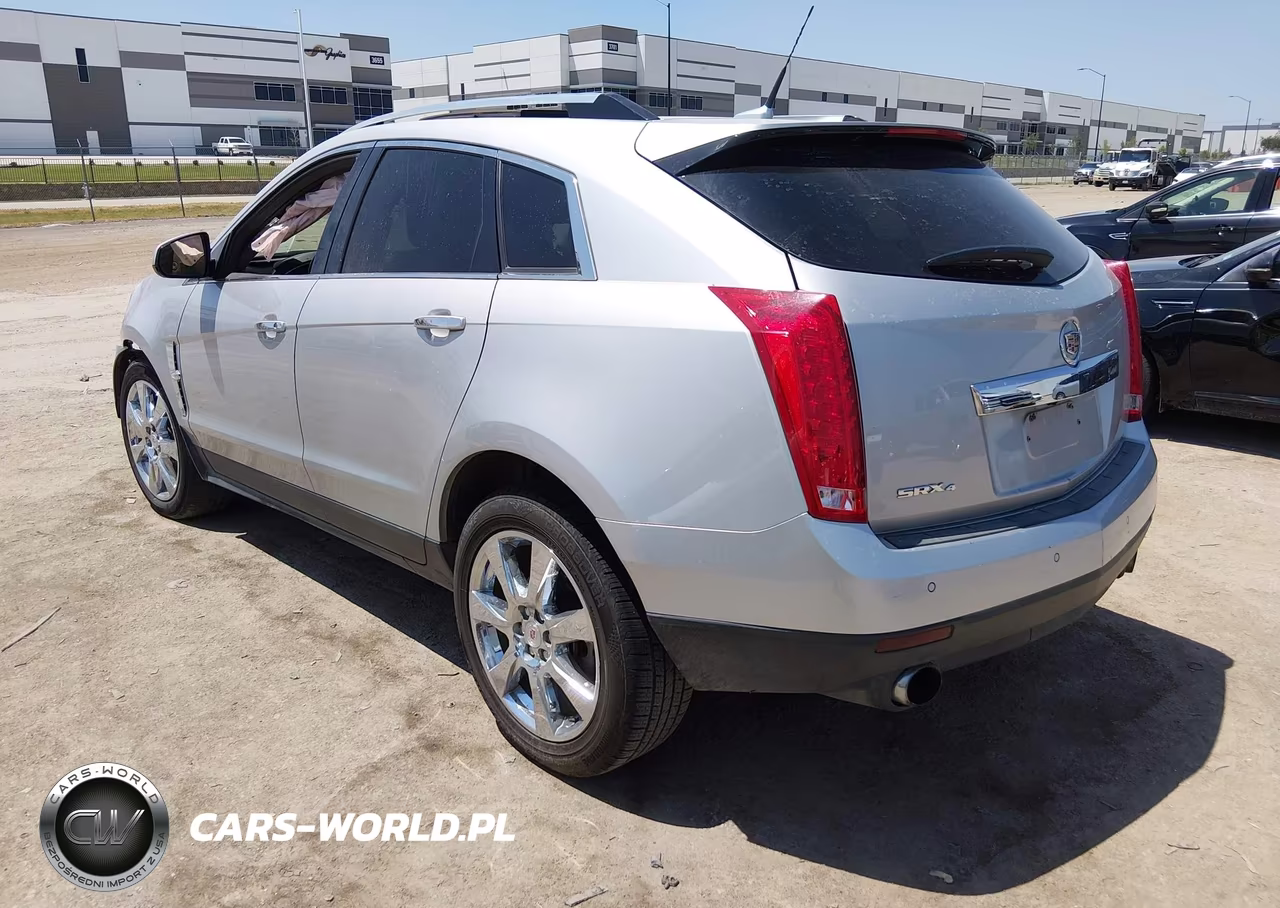 2010 Cadillac Srx Performance Collection VIN:3GYFNEEYXAS565318 - 3