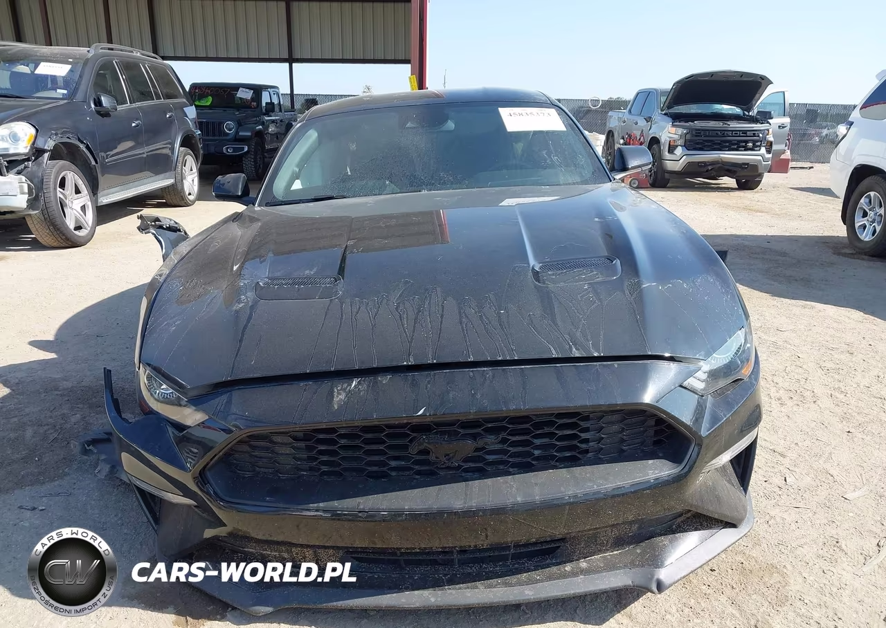2021 Ford Mustang Ecoboost Fastback VIN:1FA6P8TH6M5151400 - 13