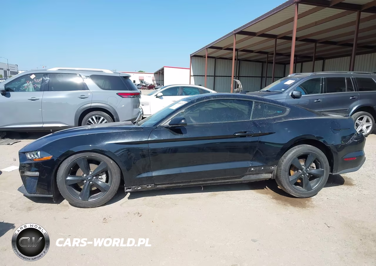 2021 Ford Mustang Ecoboost Fastback VIN:1FA6P8TH6M5151400 - 15