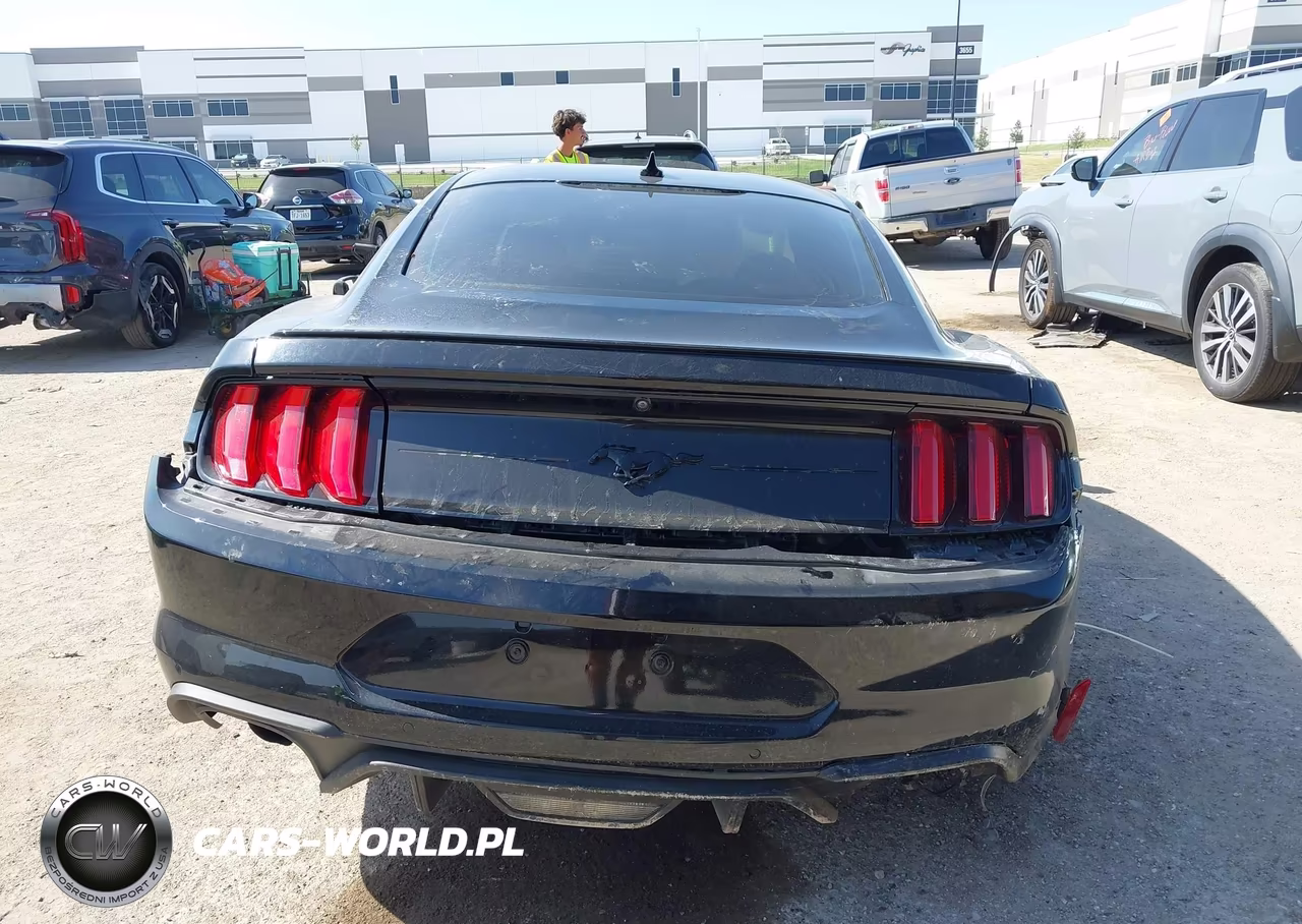 2021 Ford Mustang Ecoboost Fastback VIN:1FA6P8TH6M5151400 - 17