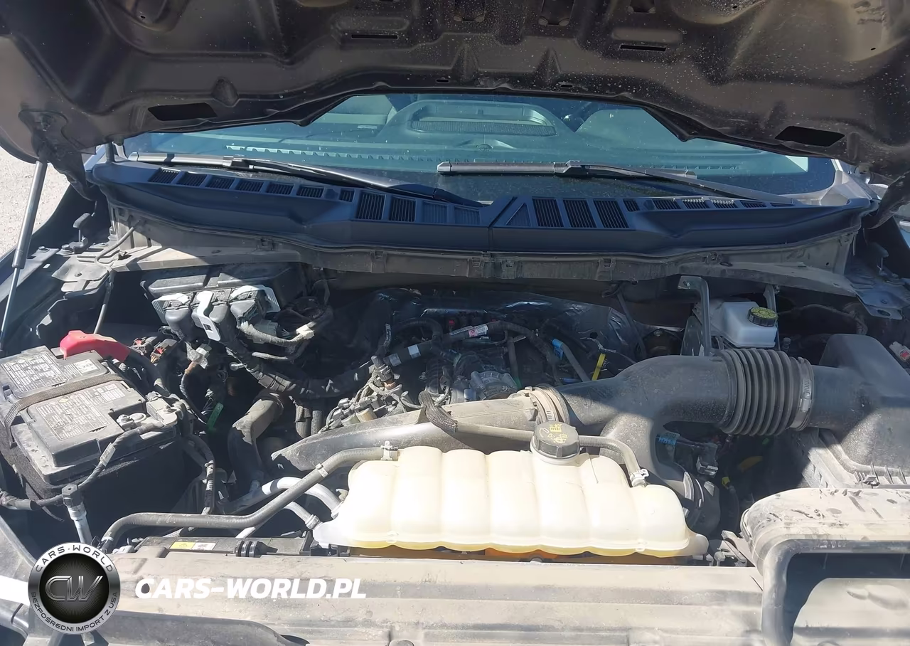 2025 Ford F-150 Xlt VIN:1FTEW3LP0SKE08813 - 10