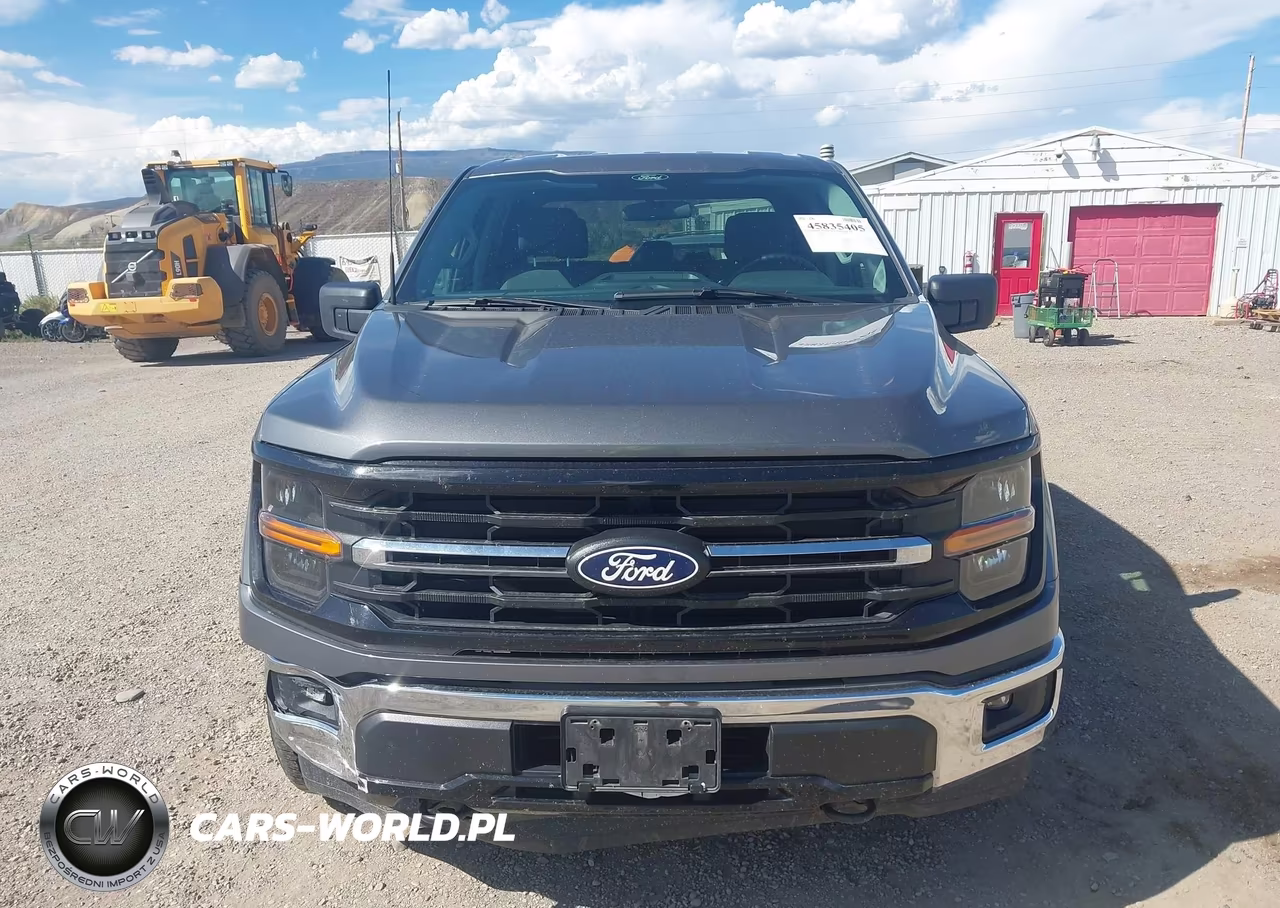 2025 Ford F-150 Xlt VIN:1FTEW3LP0SKE08813 - 12