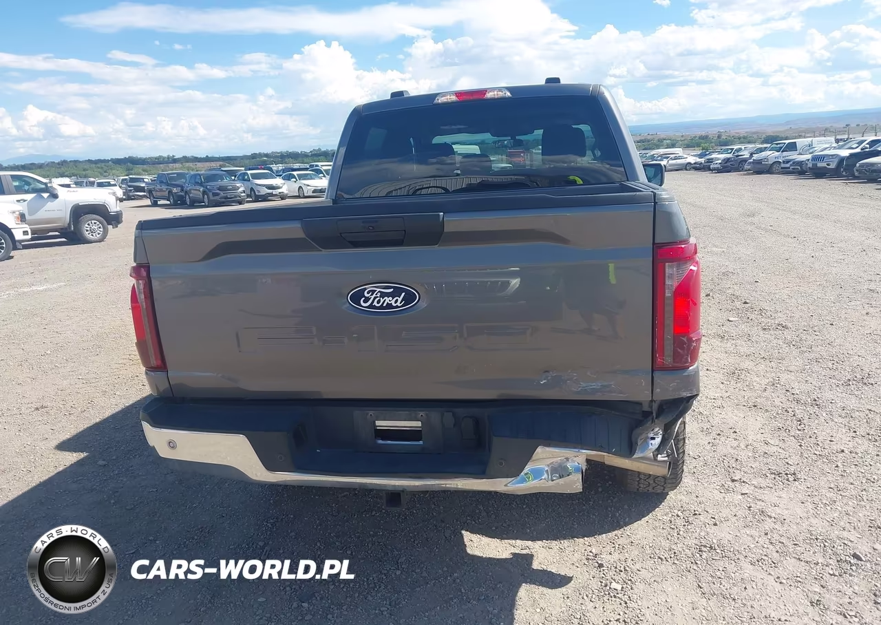 2025 Ford F-150 Xlt VIN:1FTEW3LP0SKE08813 - 16