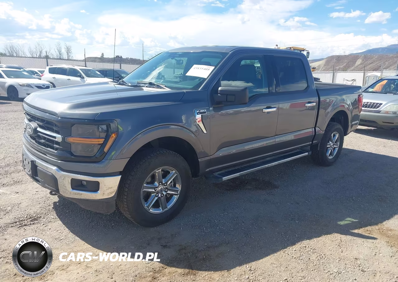 2025 Ford F-150 Xlt VIN:1FTEW3LP0SKE08813 - 2