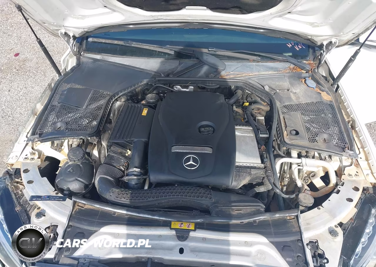 2016 Mercedes-Benz C 300 VIN:55SWF4JB3GU177961 - 10