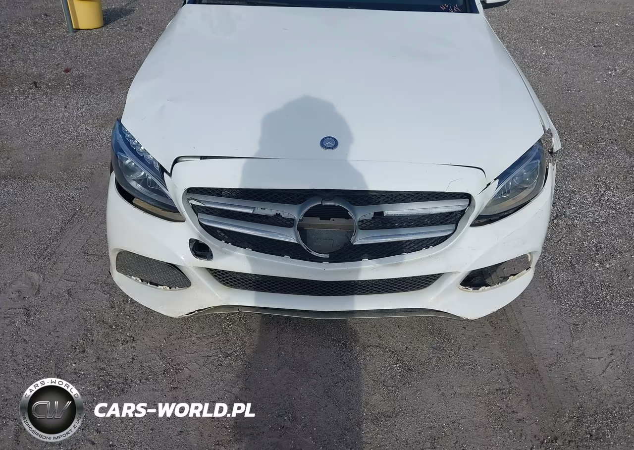 2016 Mercedes-Benz C 300 VIN:55SWF4JB3GU177961 - 6