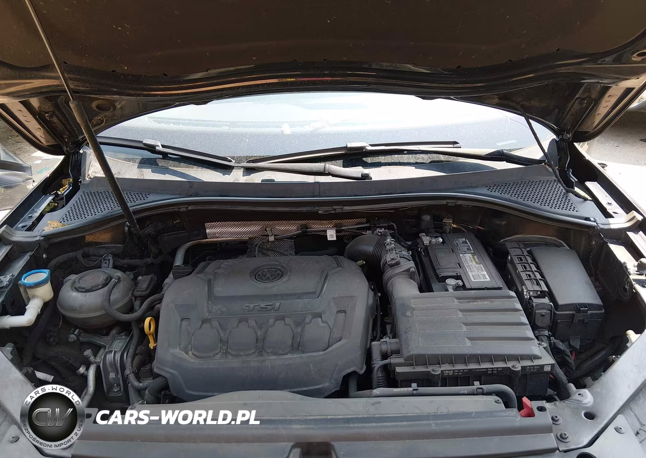 2019 Volkswagen Tiguan 2.0T S VIN:3VV0B7AX4KM080273 - 10