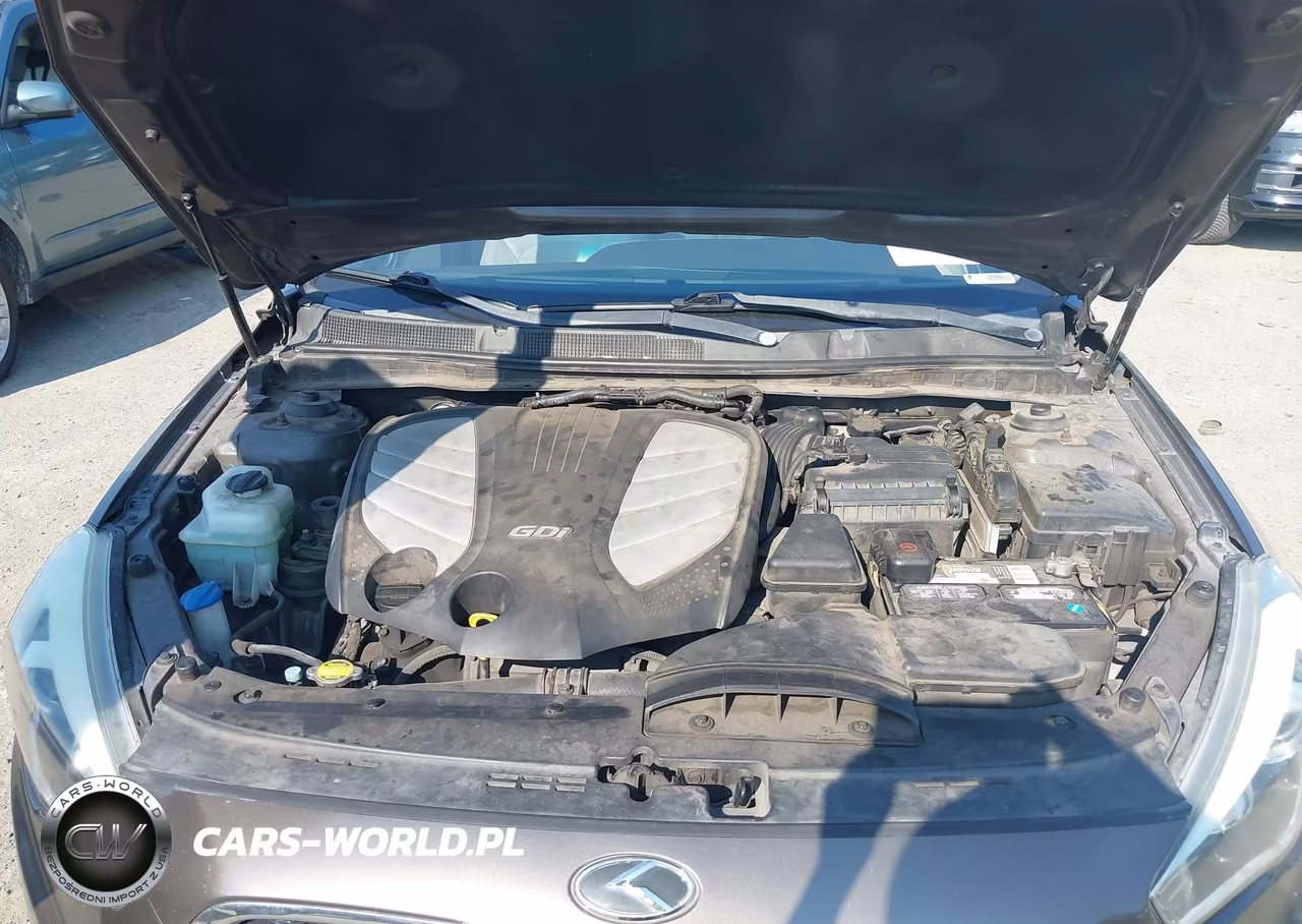 2014 Kia Cadenza Premium VIN:KNALN4D73E5126194 - 10